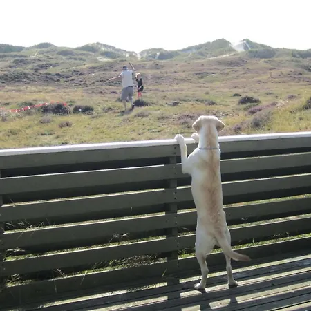 Lilja - 1-5km From The Sea By Interhome * Fanø