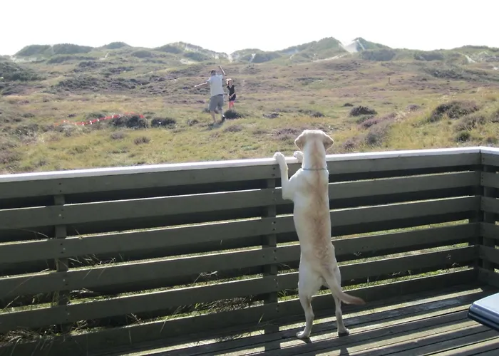 Lilja - 1-5km From The Sea By Interhome * Fanø